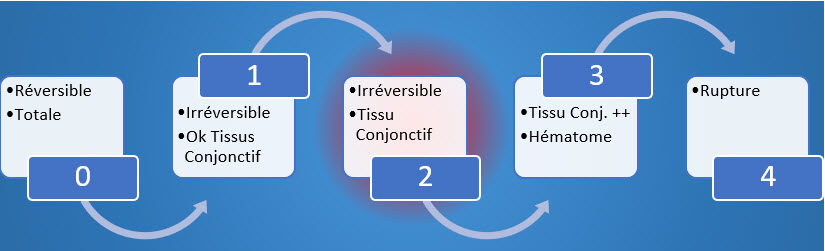 phases d'une déchirure
