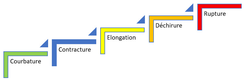 stade de lésion musculaire