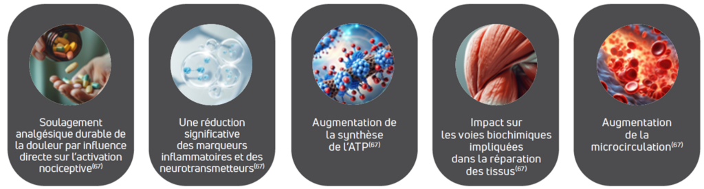 effets physiologiques de la PBM