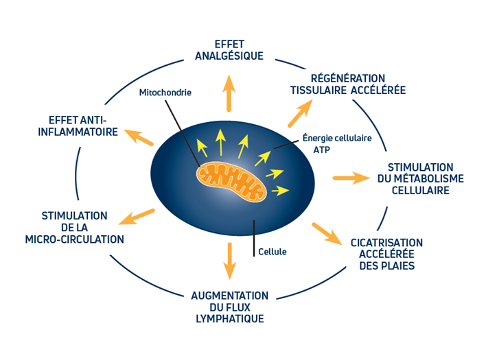 Les effets de la photobiomodulation