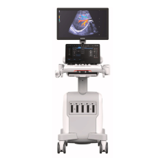Image-1