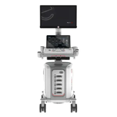 Image-1