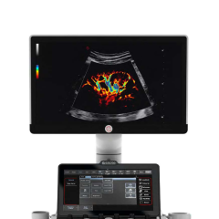Image-1