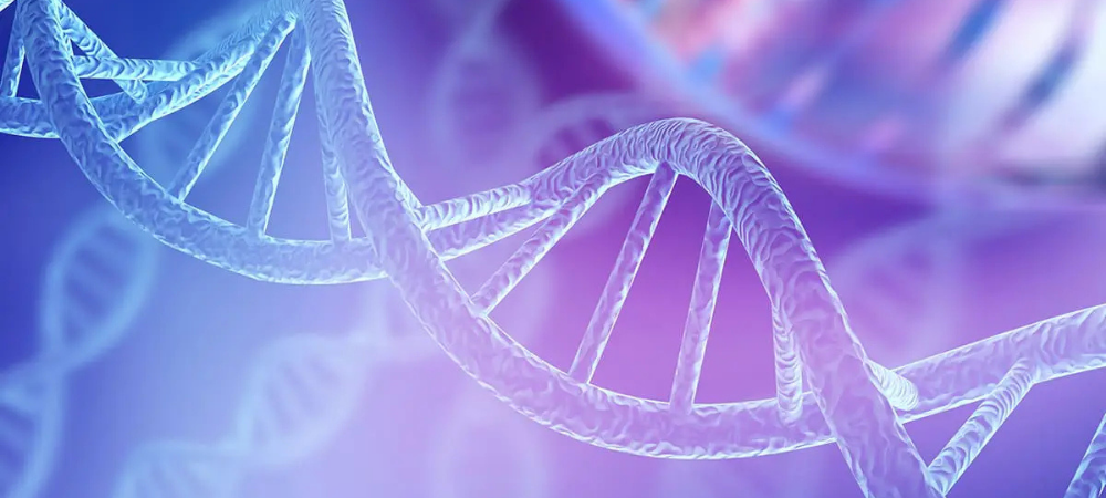 DNA STRAND