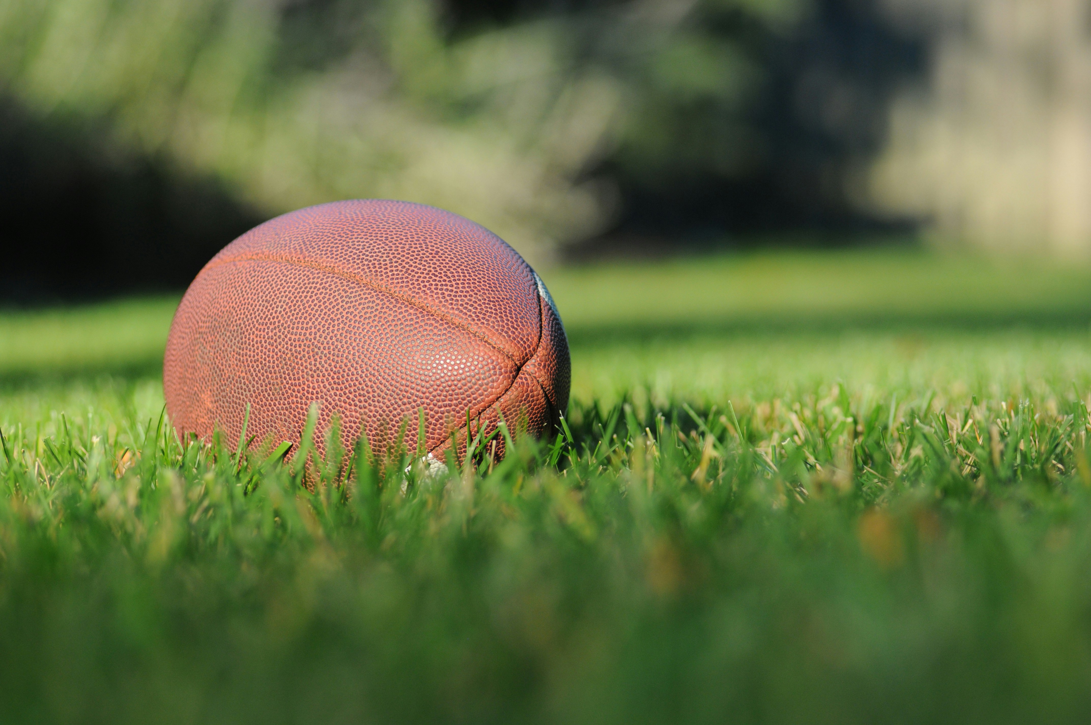 football in the grass
