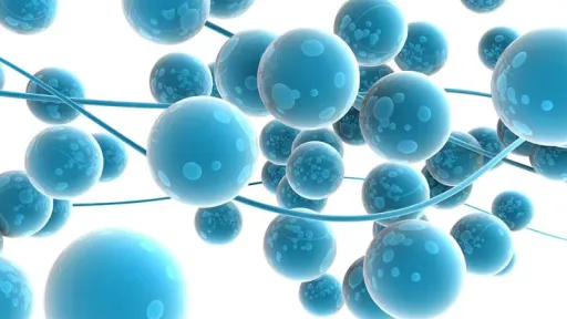 neurons